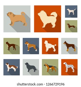 Isolated object of cute and puppy symbol. Collection of cute and animal vector icon for stock.