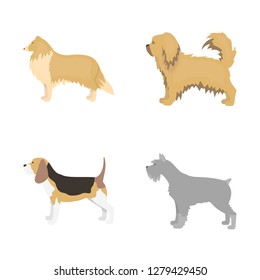 Isolated object of cute and puppy symbol. Set of cute and animal stock vector illustration.