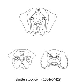 Isolated object of cute and puppy symbol. Collection of cute and animal stock vector illustration.