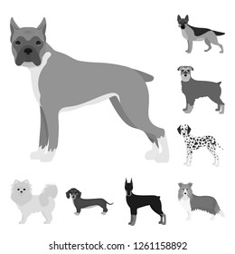 Isolated object of  cute  and  sign. Collection of  cute  and  stock vector illustration.