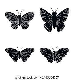 Isolated object of ecology and tropics sign. Collection of ecology and summer stock symbol for web.