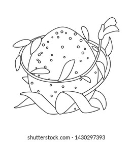 Isolated object of egg and dragon symbol. Collection of egg and leaves stock symbol for web.