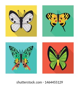 Isolated object of exotic and botanic icon. Collection of exotic and tropics stock symbol for web.