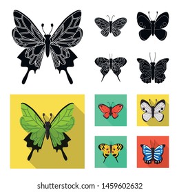 Isolated object of exotic and botanic symbol. Collection of exotic and tropics vector icon for stock.