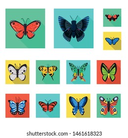 Isolated object of exotic and botanic symbol. Collection of exotic and tropics stock vector illustration.