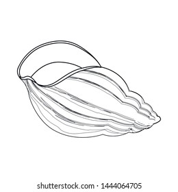 Isolated object of exotic and seafood icon. Set of exotic and aquatic stock symbol for web.