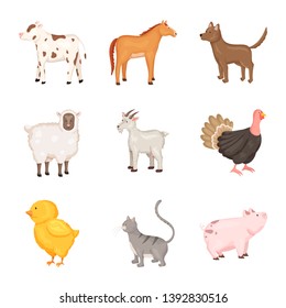 Isolated object of farm and food symbol. Collection of farm and countryside stock vector illustration.