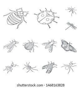 Isolated object of fauna and entomology symbol. Collection of fauna and animal stock vector illustration.
