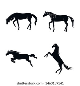 Isolated object of fauna and mare logo. Set of fauna and stallion stock vector illustration.