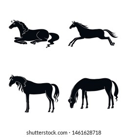 Isolated object of fauna and mare symbol. Collection of fauna and stallion vector icon for stock.