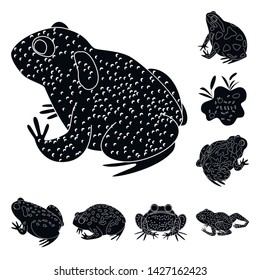 Isolated object of fauna and reptile icon. Collection of fauna and anuran vector icon for stock.