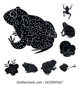 Isolated object of fauna and reptile sign. Set of fauna and anuran stock symbol for web.