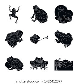 Isolated object of fauna and reptile symbol. Collection of fauna and anuran vector icon for stock.