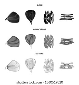 Isolated object of fiber and muscular icon. Set of fiber and body  vector icon for stock.