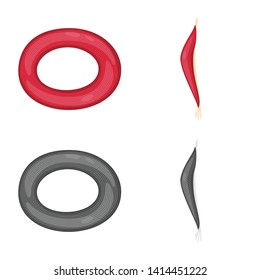 Isolated object of fiber and muscular icon. Collection of fiber and body  stock vector illustration.