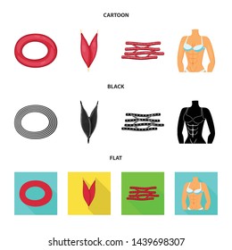 Isolated object of fiber and muscular icon. Set of fiber and body vector icon for stock.