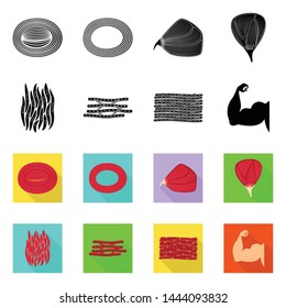 Isolated object of fiber and muscular icon. Collection of fiber and body stock symbol for web.