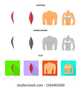 Isolated object of fiber and muscular logo. Set of fiber and body  stock symbol for web.