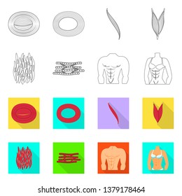 Isolated object of fiber and muscular logo. Collection of fiber and body  vector icon for stock.