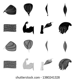 Isolated object of fiber and muscular logo. Set of fiber and body  stock vector illustration.
