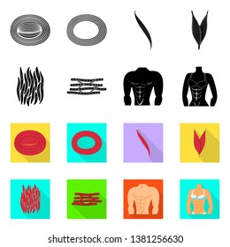 Isolated object of fiber and muscular logo. Set of fiber and body  stock symbol for web.