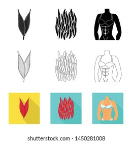 Isolated object of fiber and muscular logo. Set of fiber and body stock vector illustration.