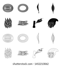 Isolated object of fiber and muscular logo. Set of fiber and body vector icon for stock.