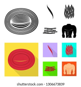 Isolated object of fiber and muscular symbol. Collection of fiber and body  stock symbol for web.