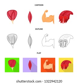 Isolated object of fiber and muscular symbol. Collection of fiber and body  vector icon for stock.
