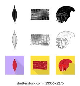 Isolated object of fiber and muscular symbol. Collection of fiber and body  stock vector illustration.