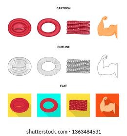 Isolated object of fiber and muscular symbol. Collection of fiber and body  stock symbol for web.