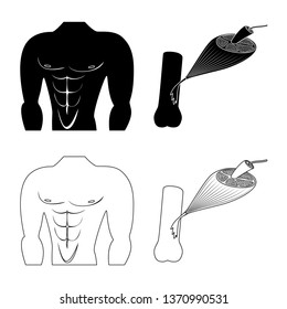 Isolated object of fiber and muscular symbol. Collection of fiber and body  stock vector illustration.