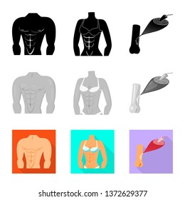 Isolated object of fiber and muscular symbol. Collection of fiber and body  stock vector illustration.