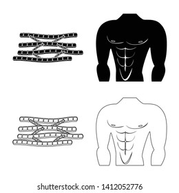 Isolated object of fiber and muscular symbol. Collection of fiber and body  vector icon for stock.
