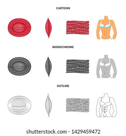 Isolated object of fiber and muscular symbol. Set of fiber and body stock vector illustration.