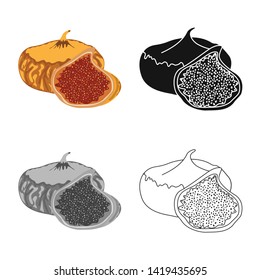 Isolated object of figs and dry symbol. Collection of figs and diet   stock vector illustration.