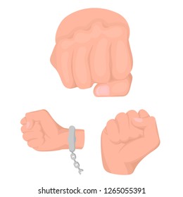 Isolated object of fist and punch sign. Collection of fist and hand stock symbol for web.