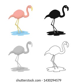 Isolated object of flamingo and pink logo. Collection of flamingo and funny stock symbol for web.