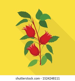 Isolated object of flower and hibiscus sign. Graphic of flower and tropical Stock symbol for web.