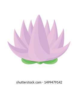 Isolated object of flower and lotus symbol. Set of flower and leaf stock symbol for web.