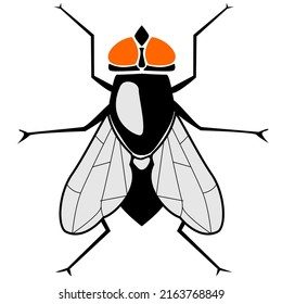 
Isolated object of fly and pest logo. Set of fly and dirty vector icons for stock.