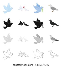 Isolated object of flying and dove icon. Set of flying and carrier vector icon for stock.