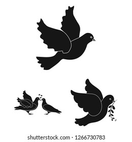 Isolated object of flying and dove sign. Set of flying and carrier vector icon for stock.