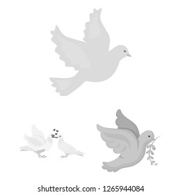 Isolated object of flying and dove symbol. Collection of flying and carrier stock symbol for web.