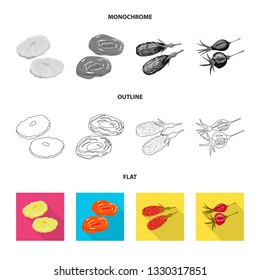 Isolated object of food  and raw  icon. Collection of food  and nature   stock symbol for web.