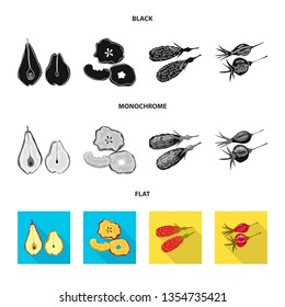 Isolated object of food  and raw  icon. Set of food  and nature   stock vector illustration.