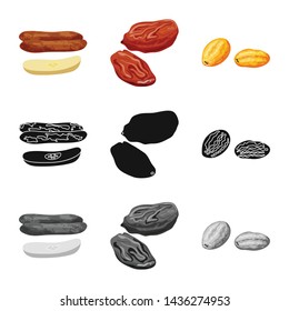 Isolated object of food and raw icon. Set of food and nature stock vector illustration.
