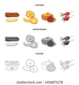 Isolated object of food and raw icon. Collection of food and nature stock symbol for web.