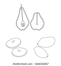 Isolated object of food and raw icon. Set of food and nature stock symbol for web.
