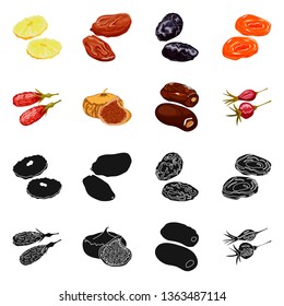 Isolated object of food  and raw  logo. Collection of food  and nature   stock vector illustration.